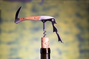 Wine bottle openers